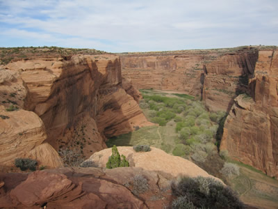 looking into the cyn